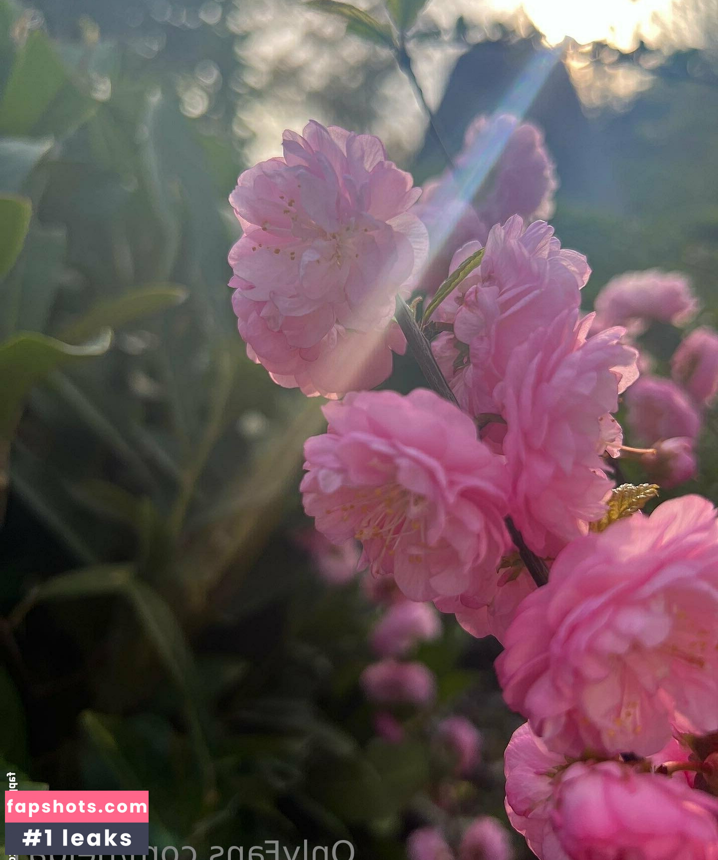 helga1 Nude Leaks OnlyFans Photos #17 - LeakJerk