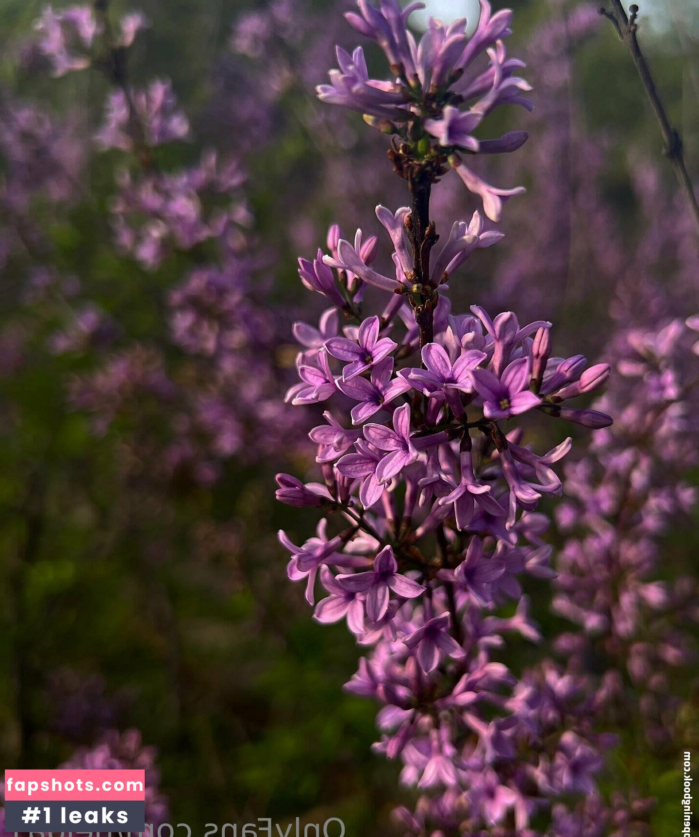 helga1 Nude Leaks OnlyFans Photos #9 - LeakJerk