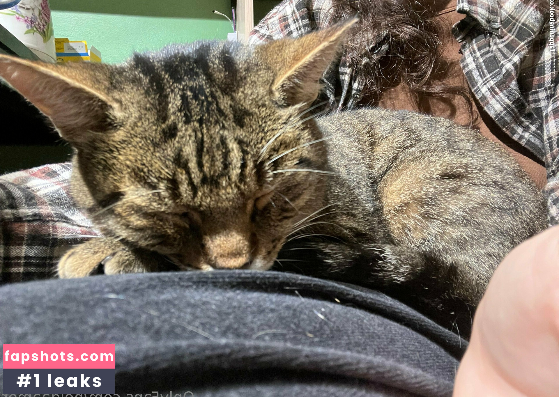 helgaamor gallery photo #3