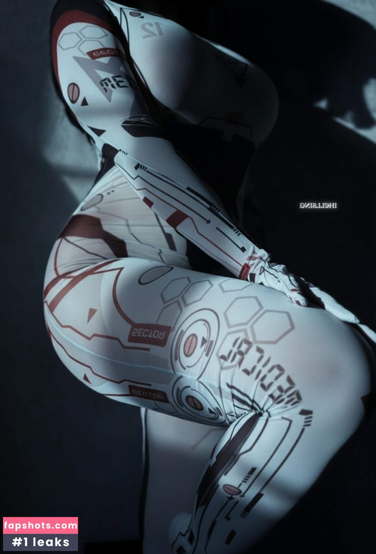 Hellsing gallery photo #4