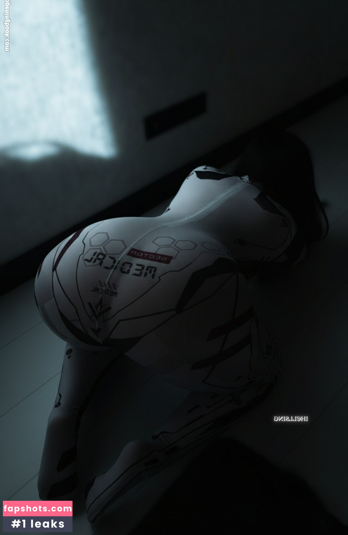 Hellsing gallery photo #7