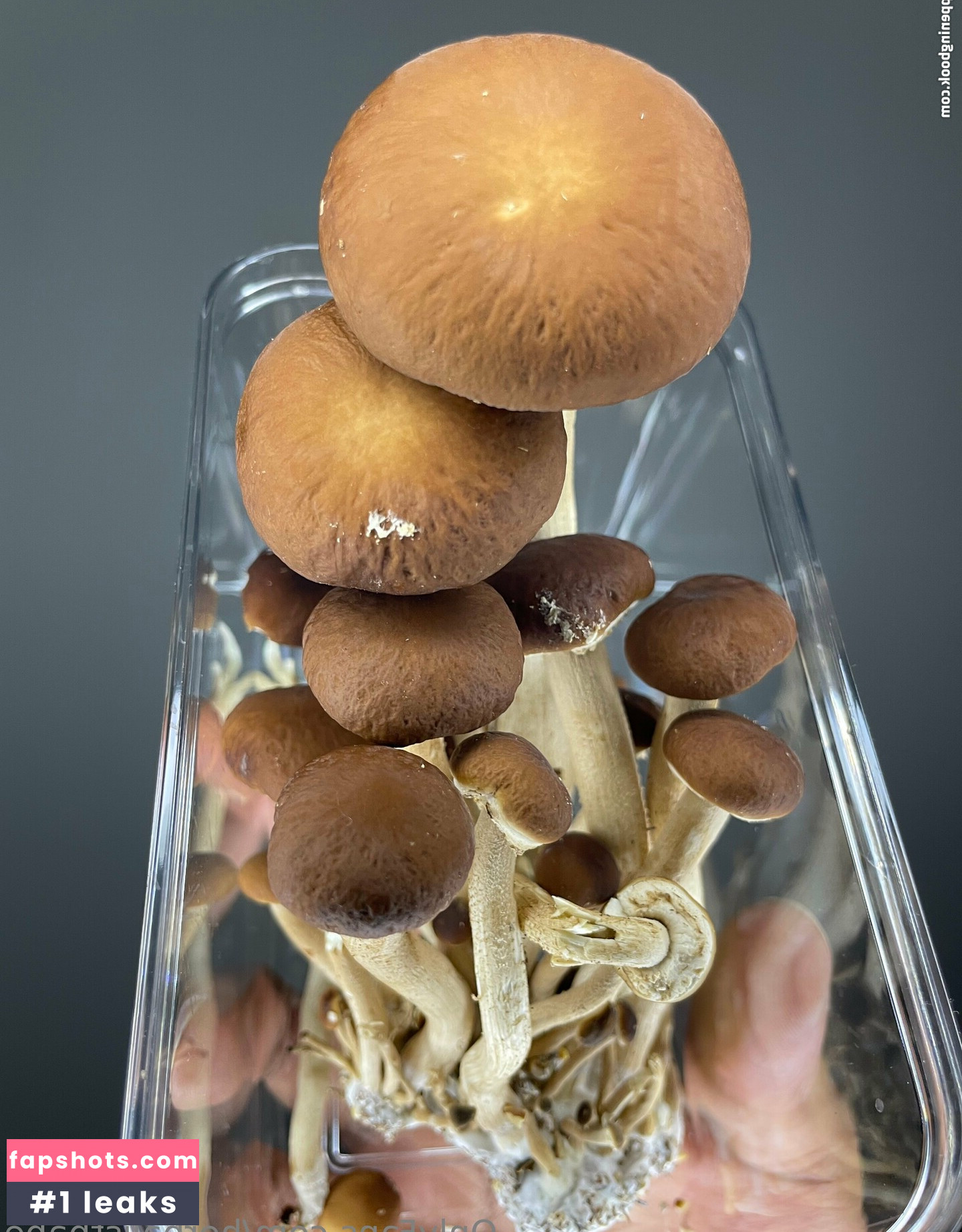 herbalistbabe nude babe gallery