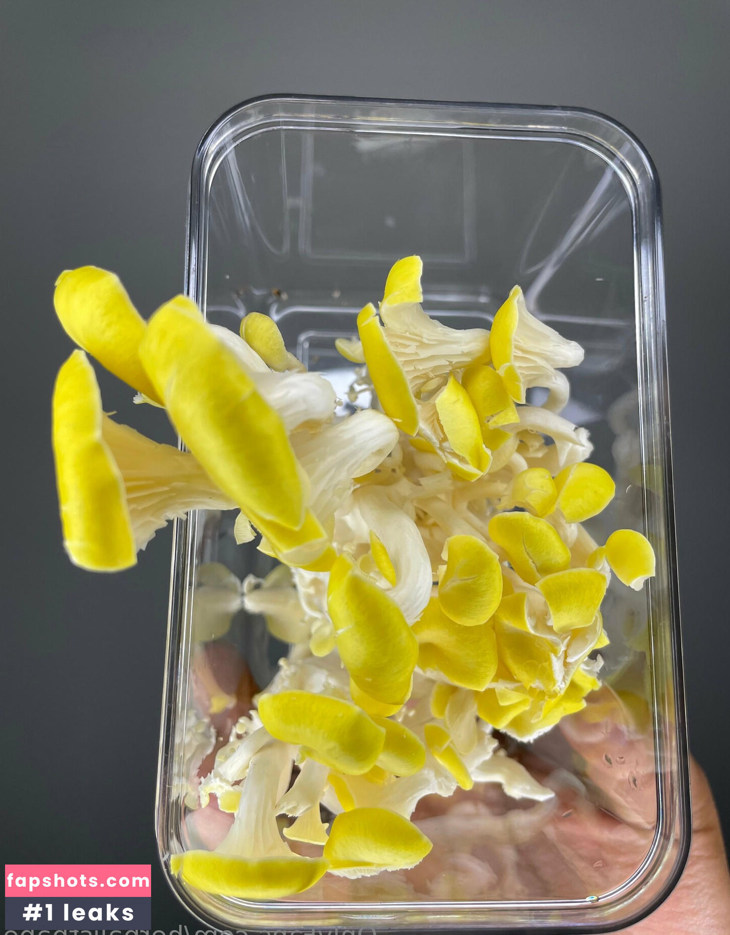 herbalistbabe Filtración Desnuda OnlyFans Foto #9 - Fapshots