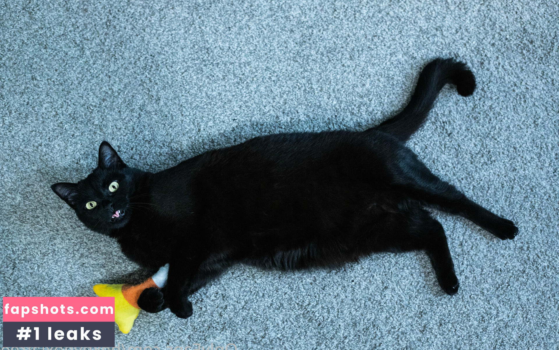 hexhypoxiafree Nude Leaks OnlyFans Photos #52 - LeakJerk