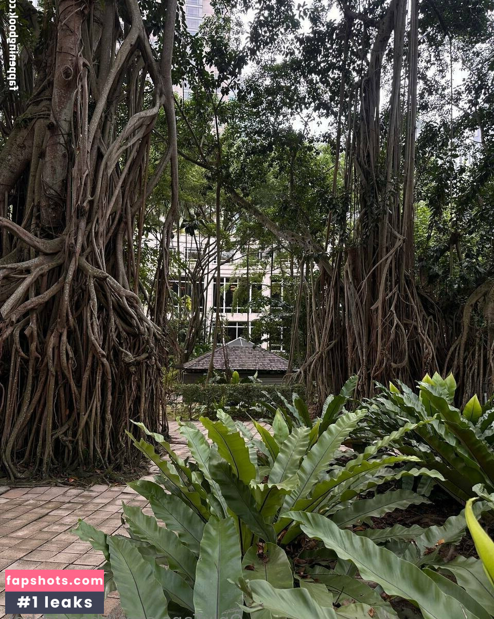 HheadShhot gallery photo #2