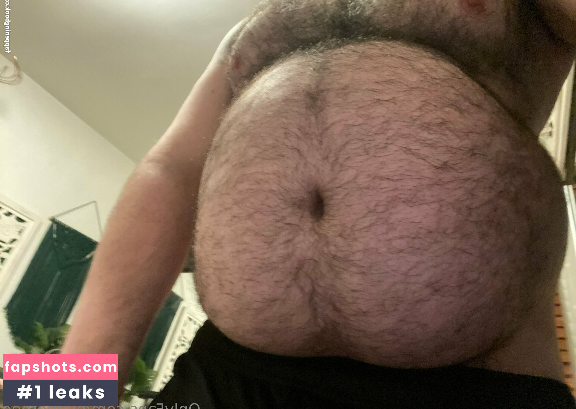 himbotheo gallery photo #32