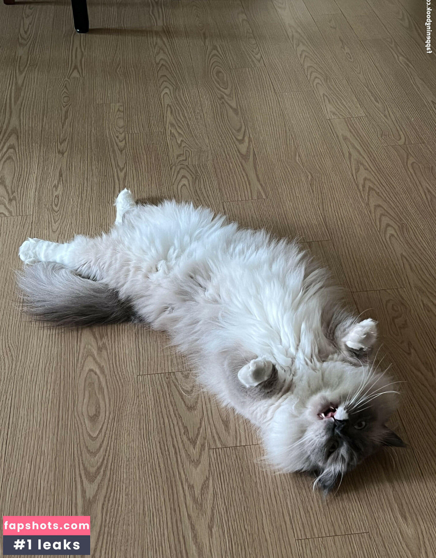 hinachan01 gallery photo #6