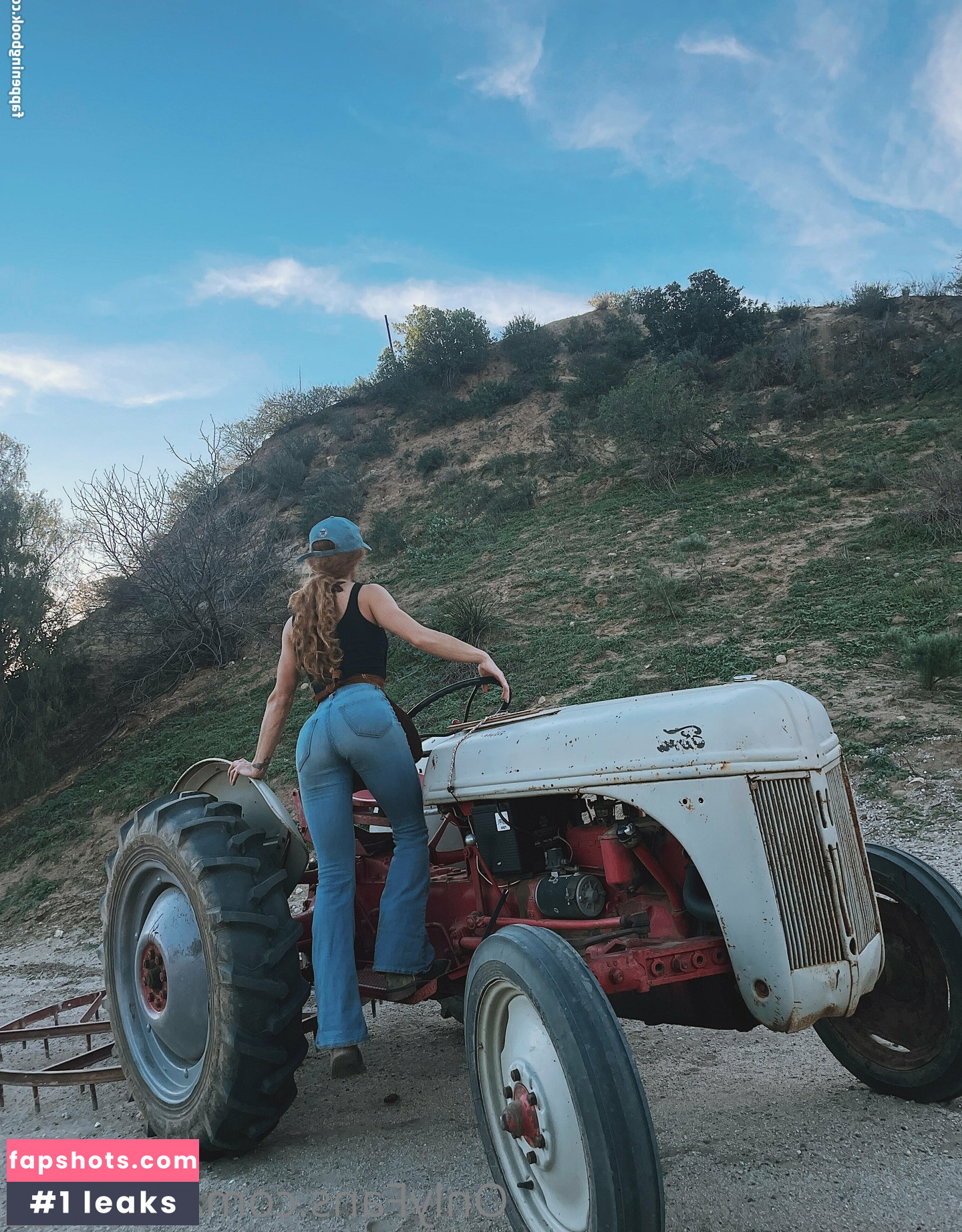 Hippiegg gallery photo #11