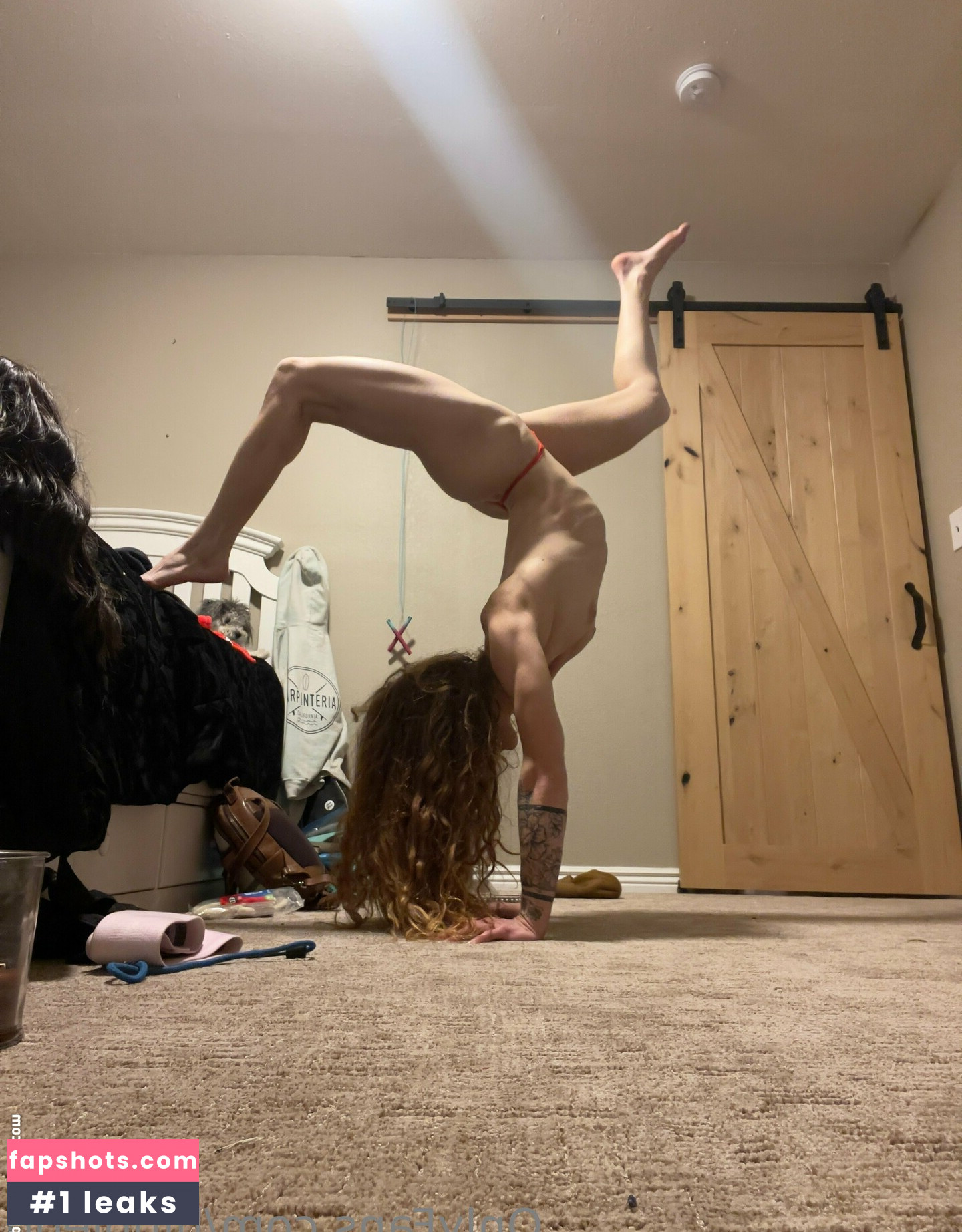 Hippiegg gallery photo #7