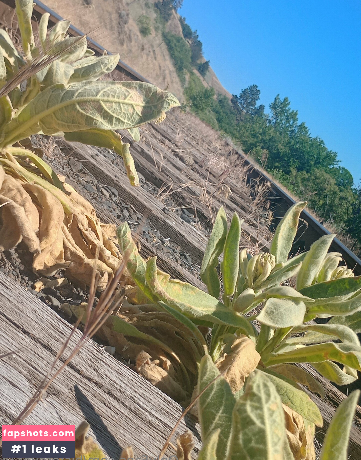 hisforever74 gallery photo #8