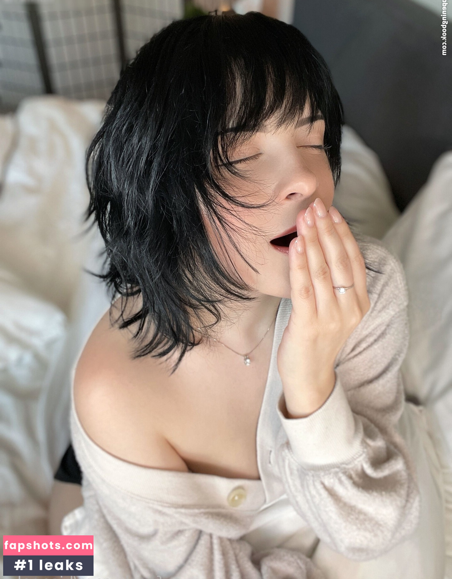 Hisoneko gallery photo #22