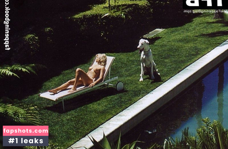 Holly Brisley gallery photo #7