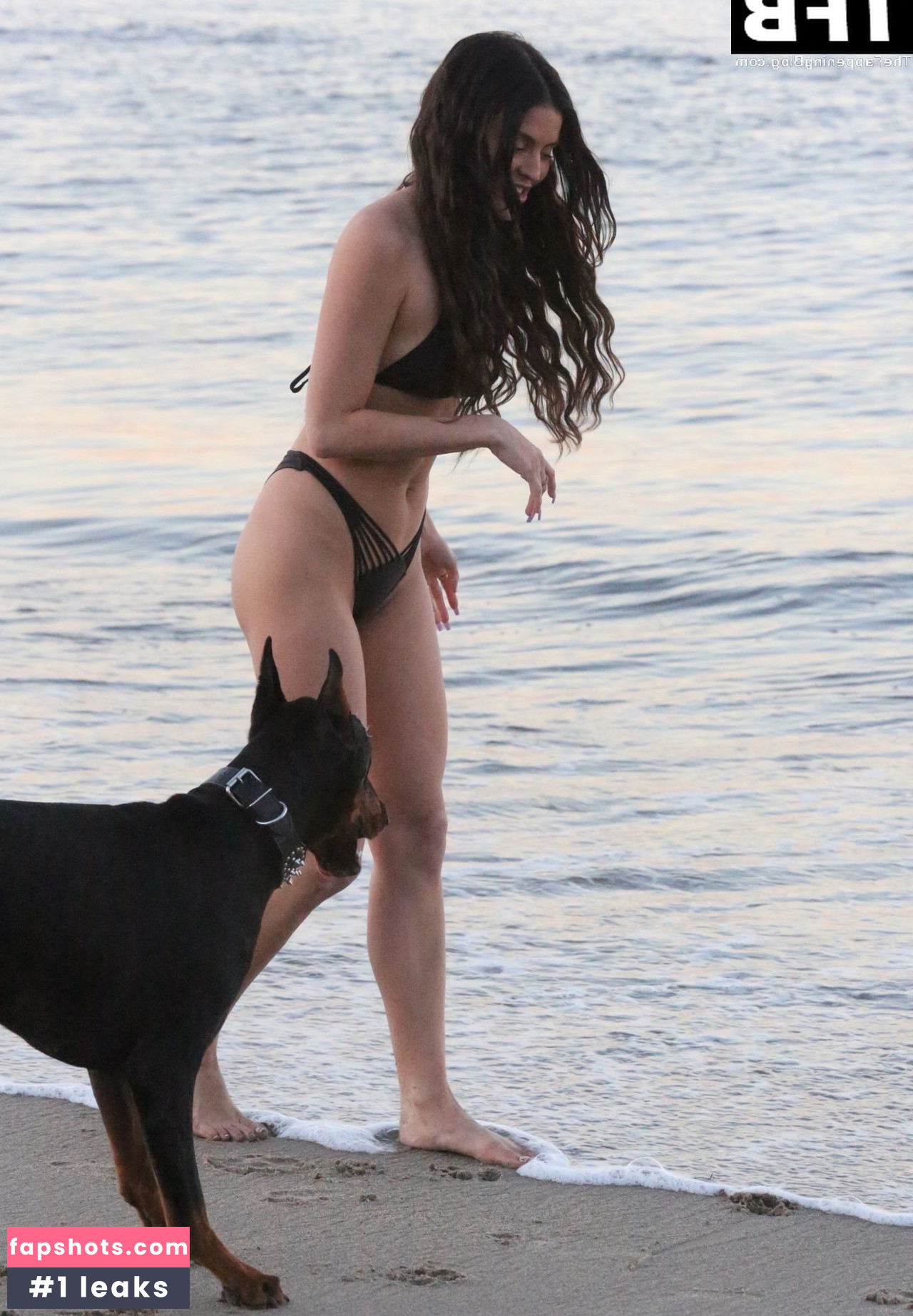 Holly Scarfone gallery photo #97