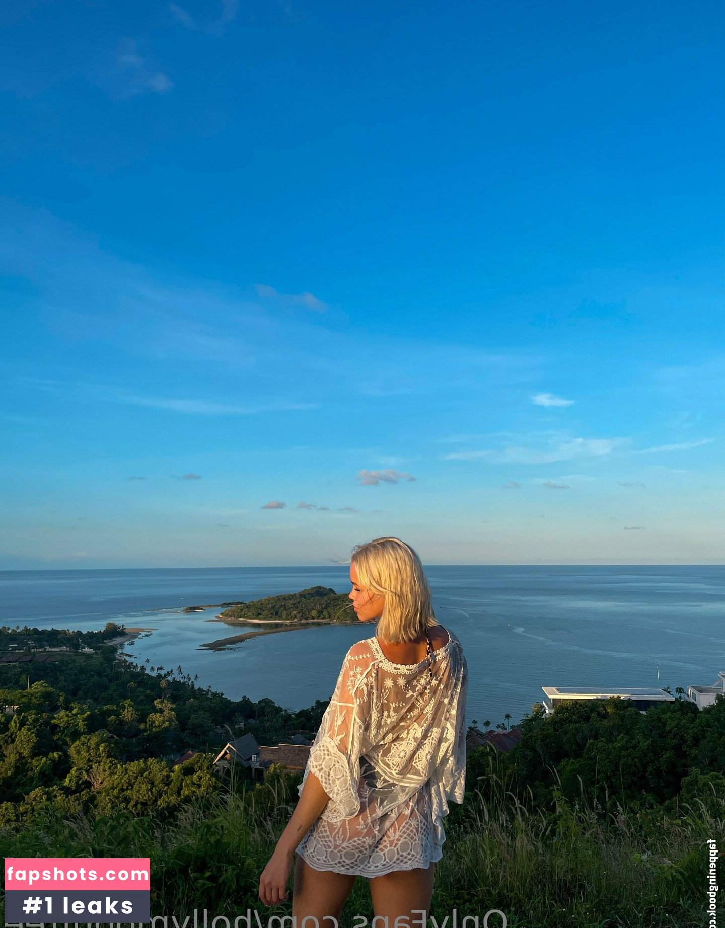 hollymoonvvip gallery photo #19