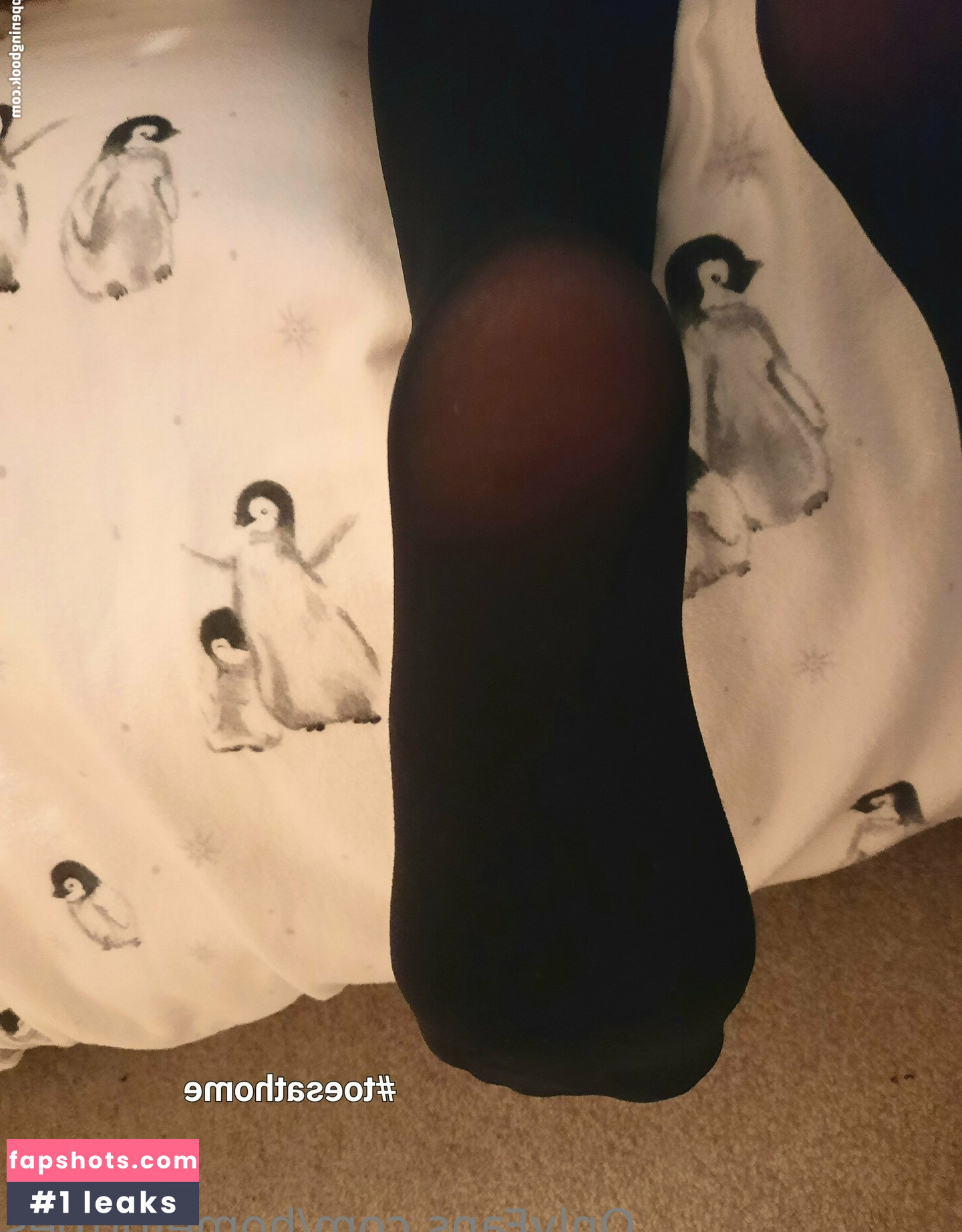 homefortoes Nahé úniky fotek pouze od fanoušků #29 - Fapshots