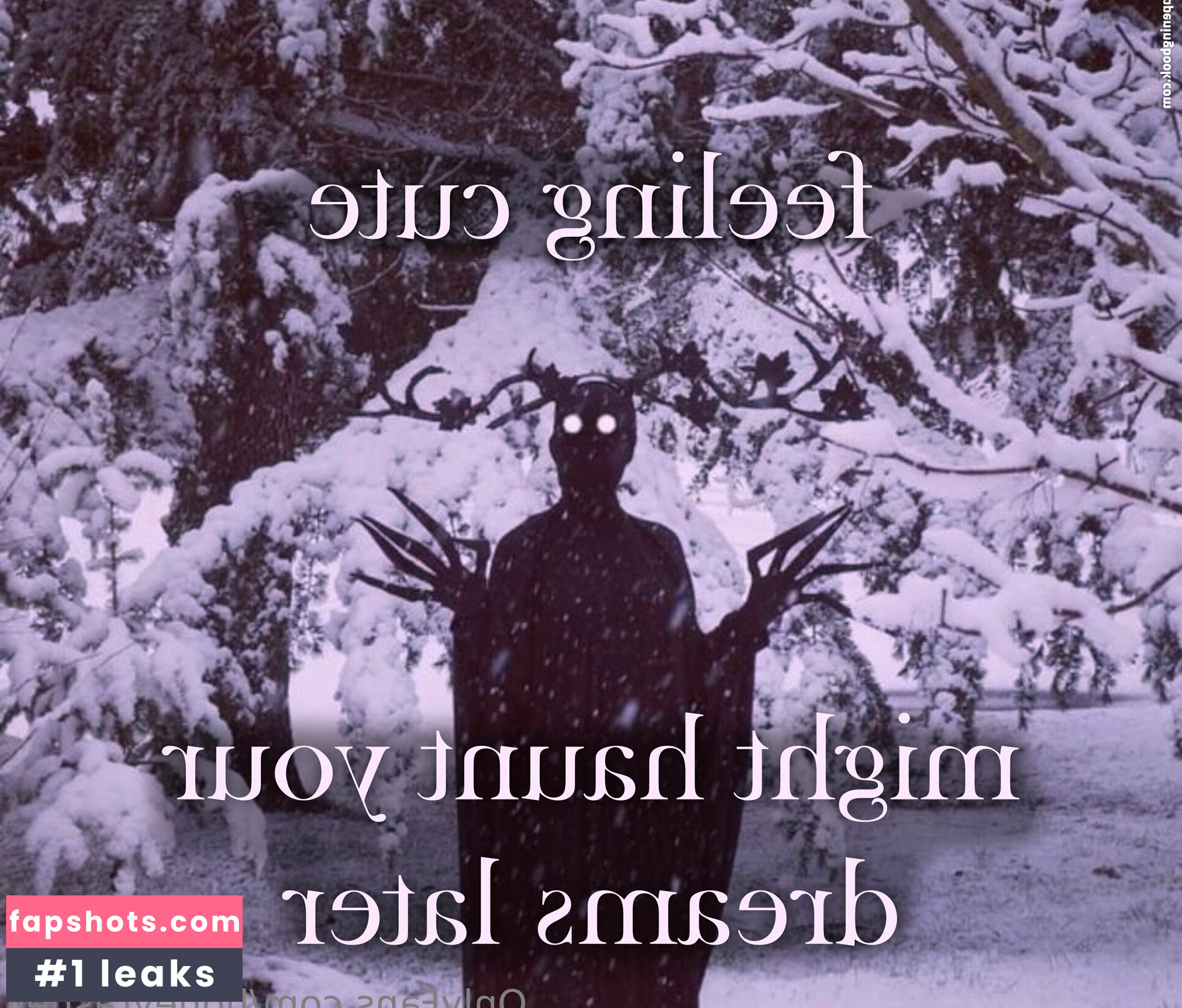 honeyrashell gallery photo #37