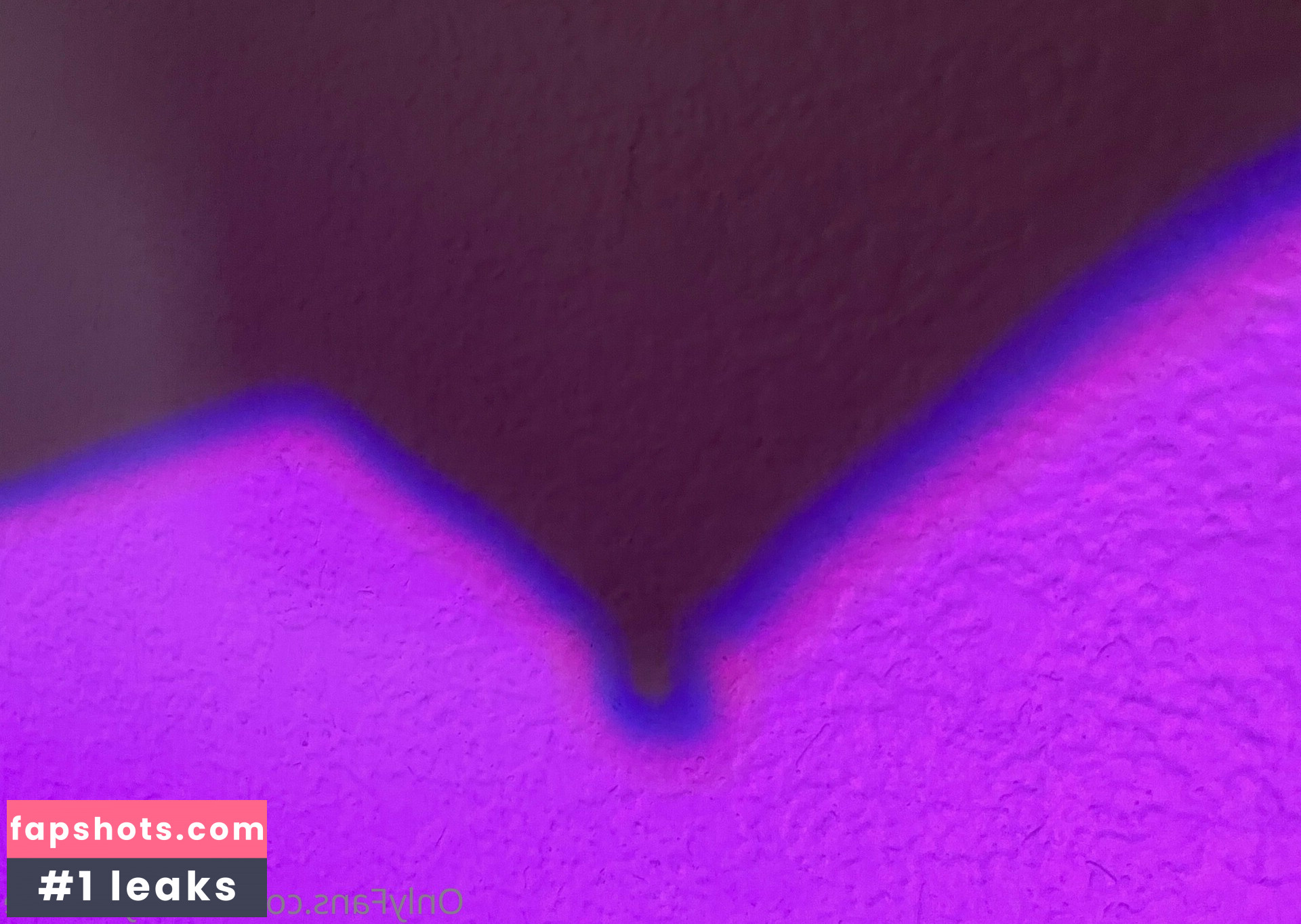 honeyvulture gallery photo #29