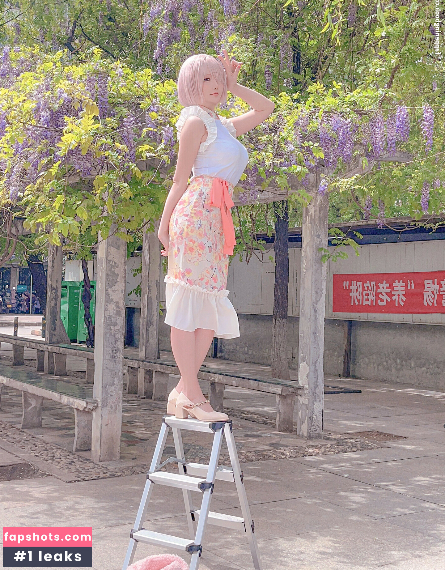 Hoshilily gallery photo #359