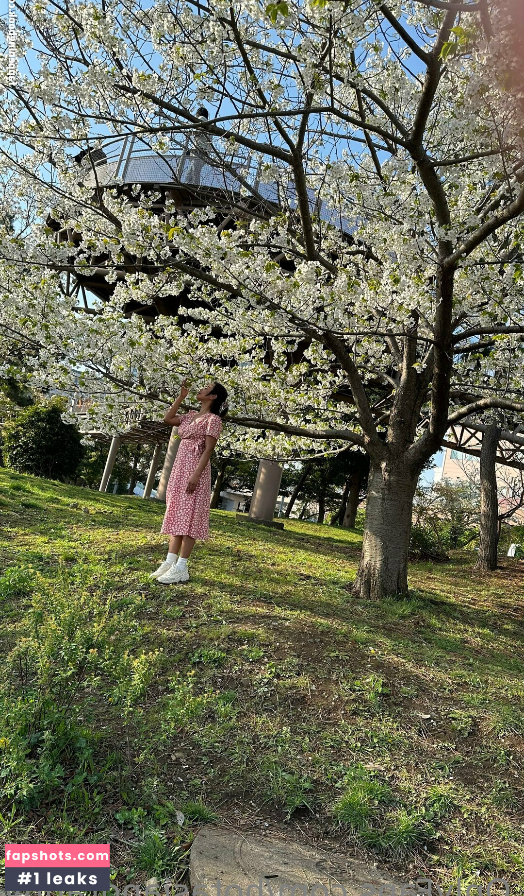 hotasiangranny Nacktheit OnlyFans Fotos #21 - Fapshots