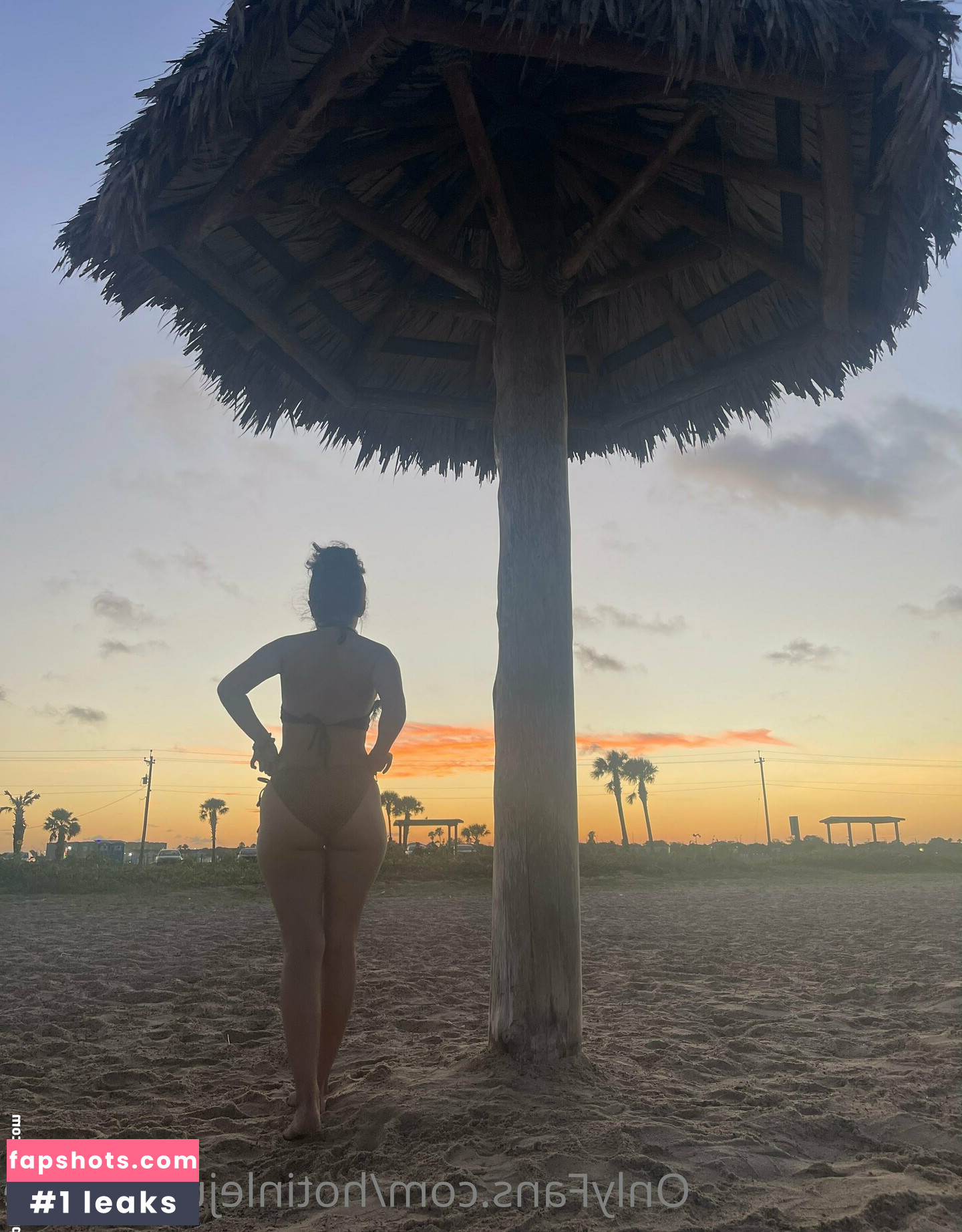 hotinlejunglefree gallery photo #16