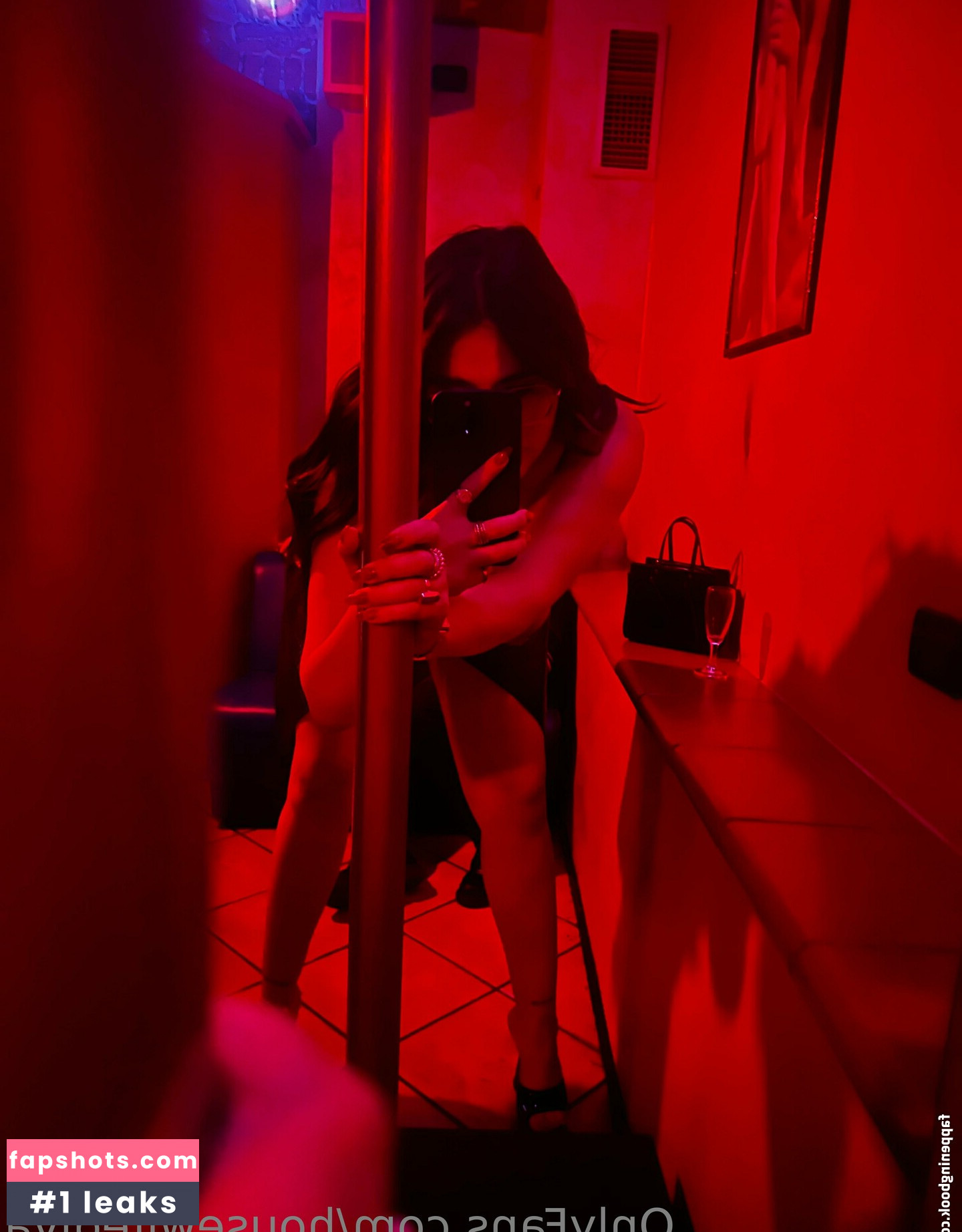 housewifediva gallery photo #13