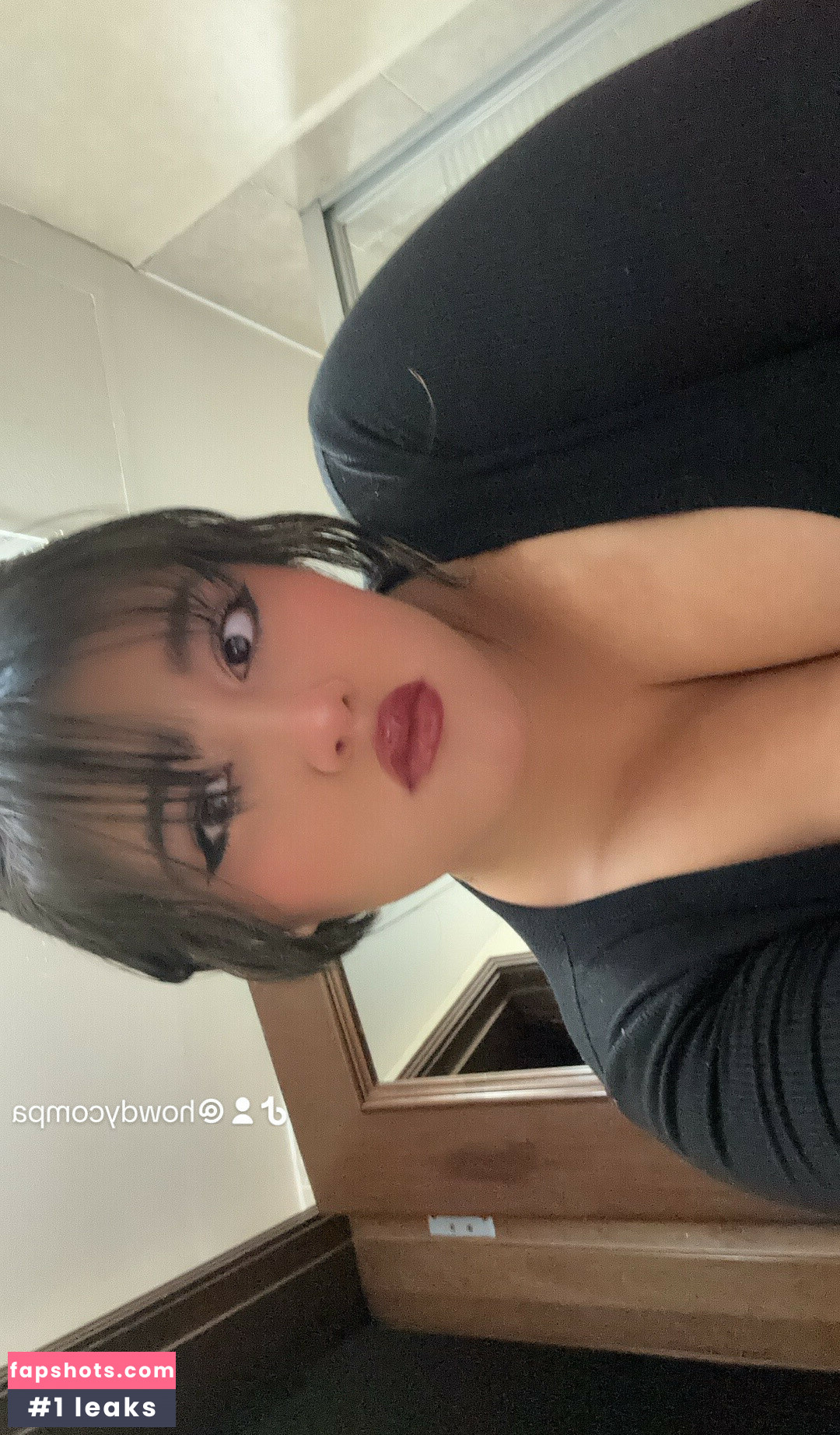 Howdycompa gallery photo #13