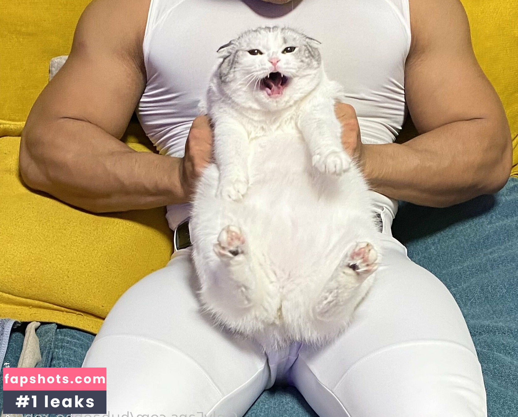 hubaobao_robust gallery photo #12