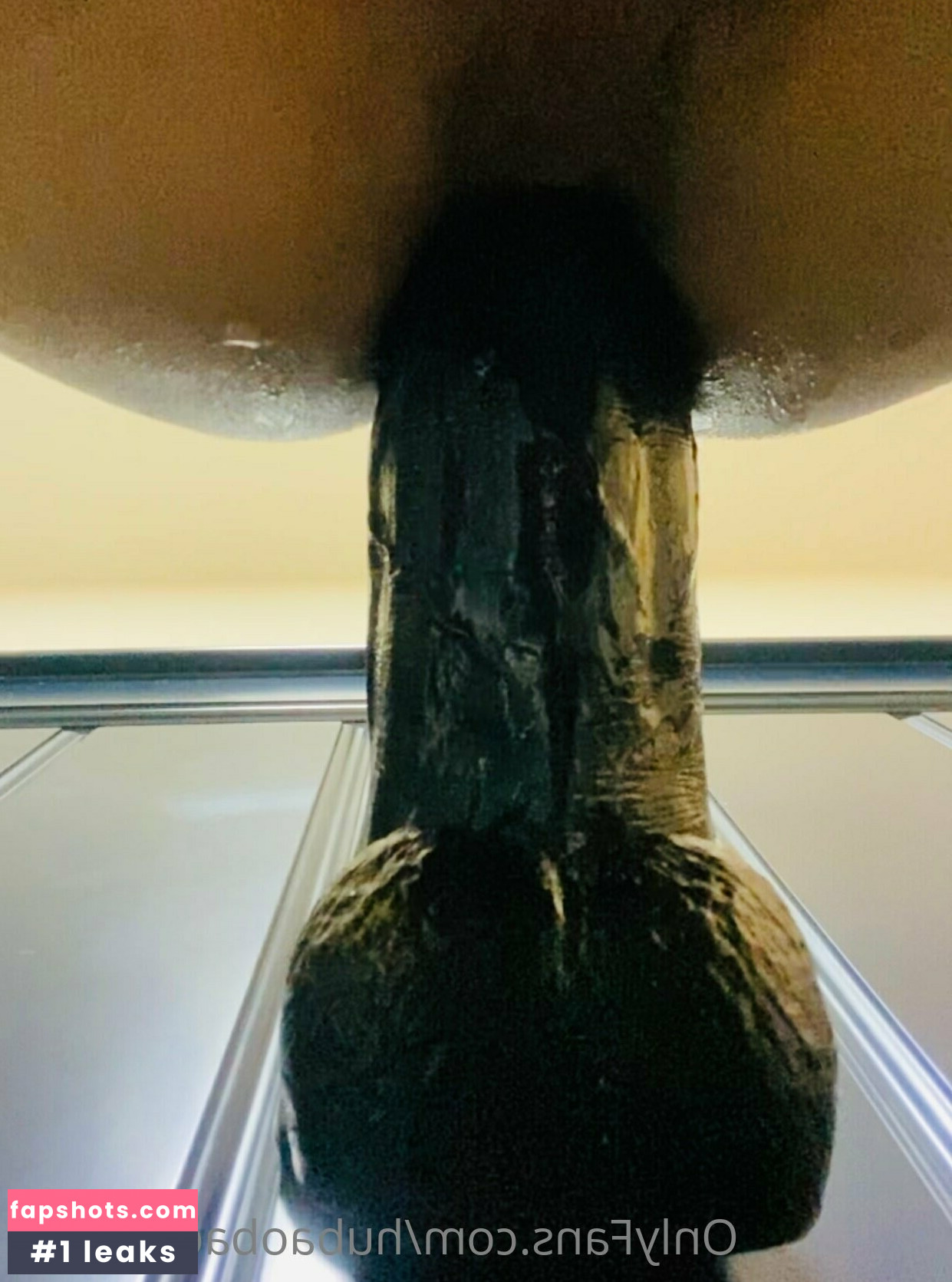 hubaobao_robust gallery photo #10