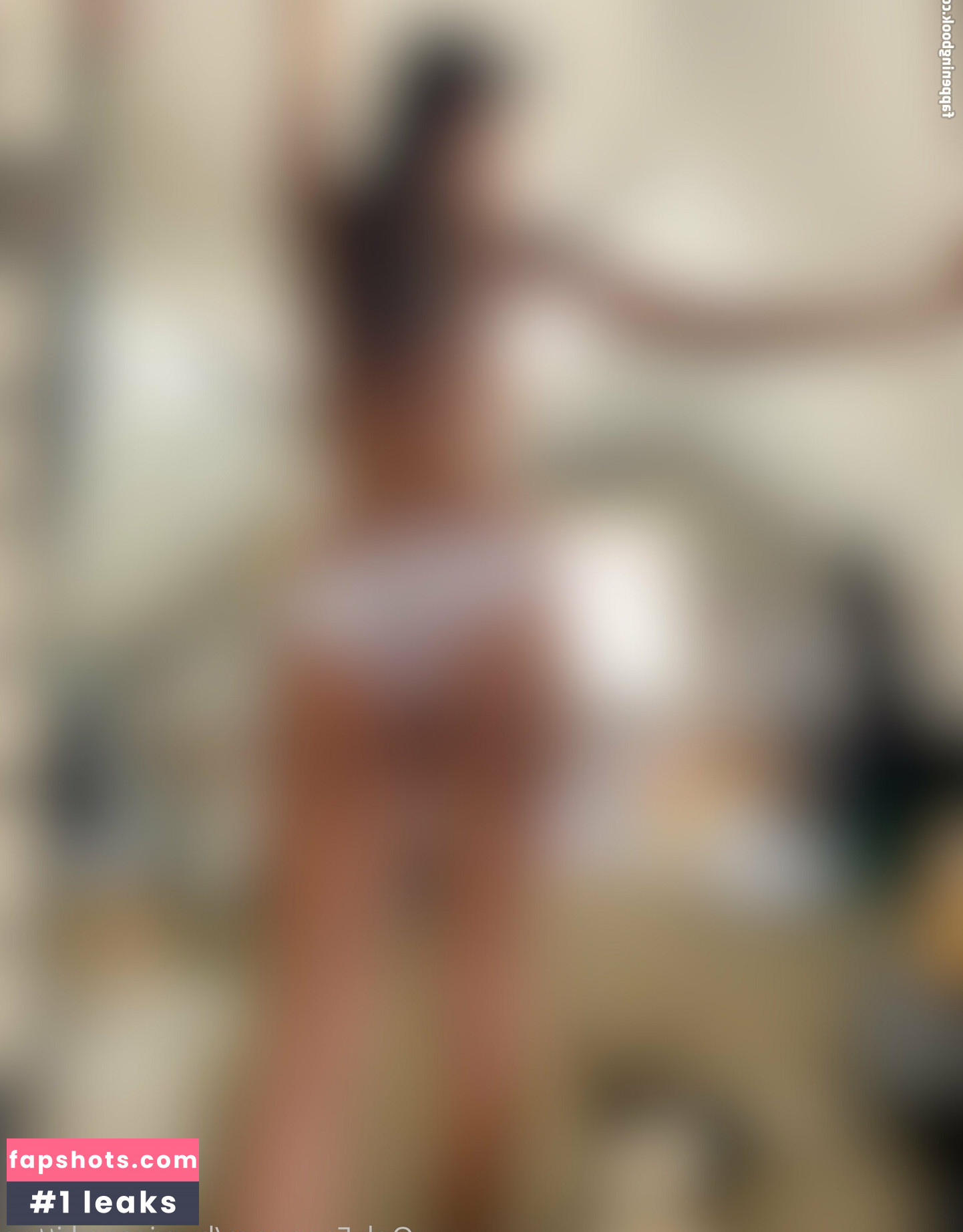 hurricane.kitten gallery photo #2