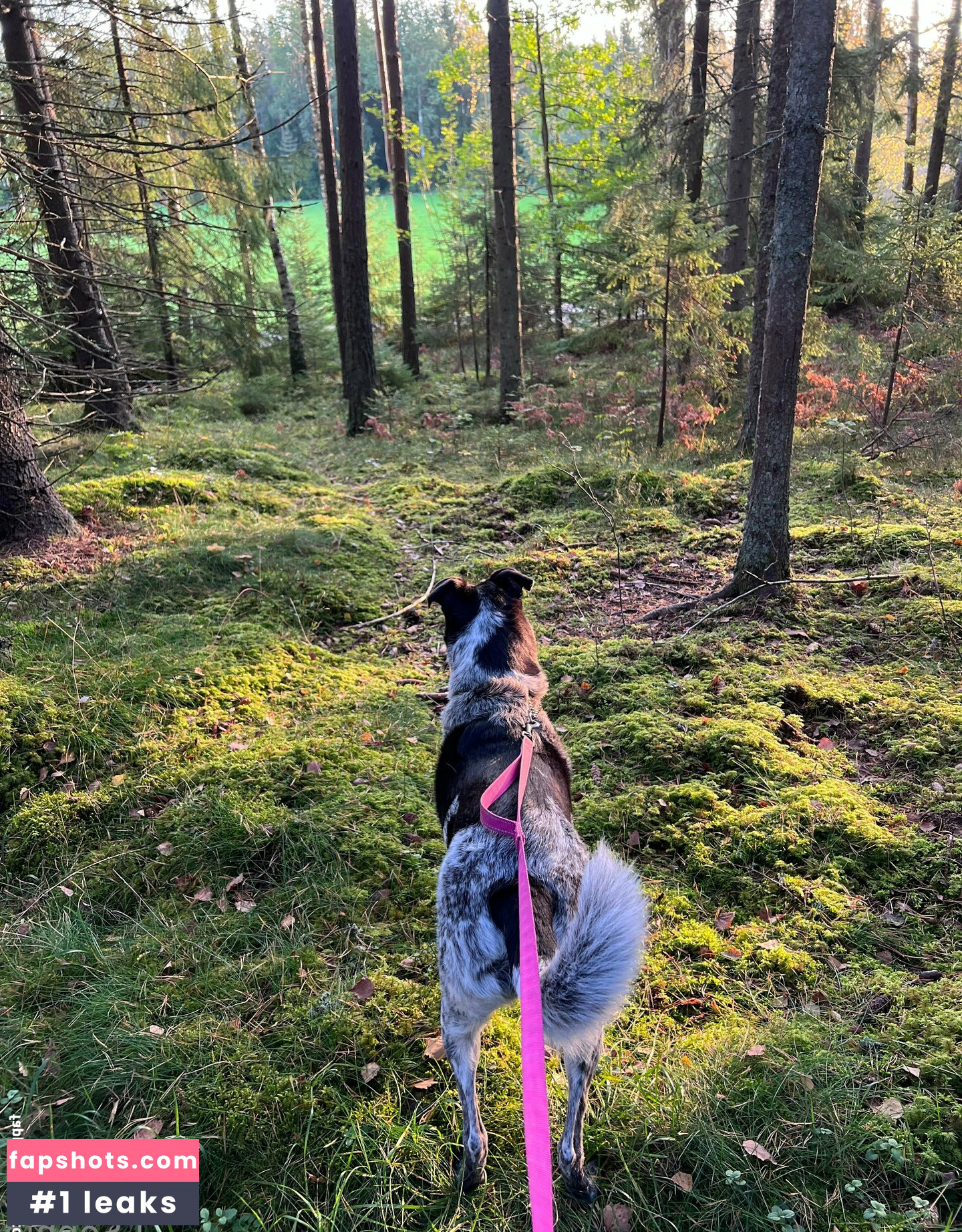 i-sophie Nacktheit OnlyFans Fotos #50 - Fapshots