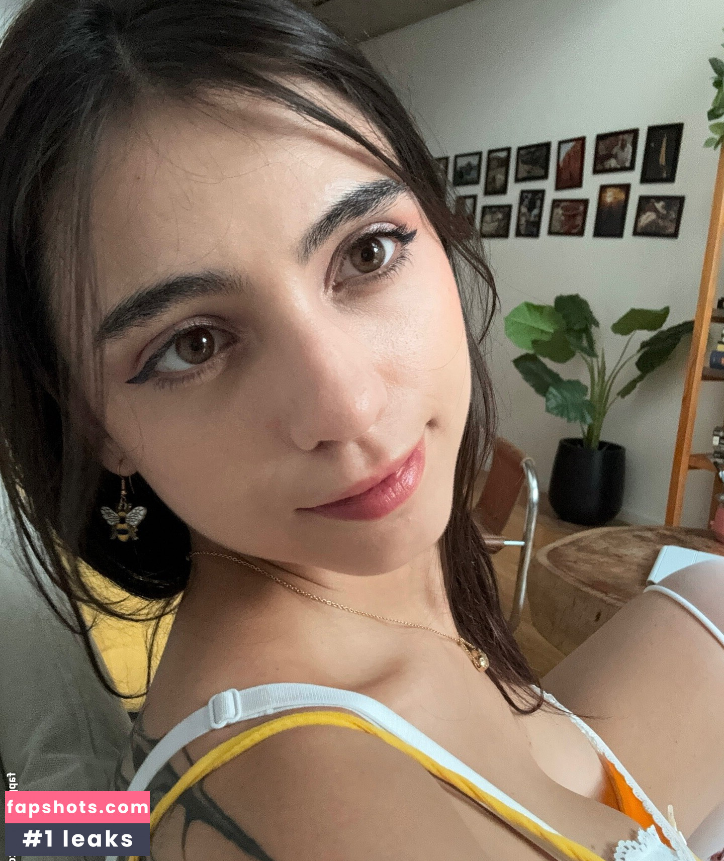 iaaras2 gallery photo #196