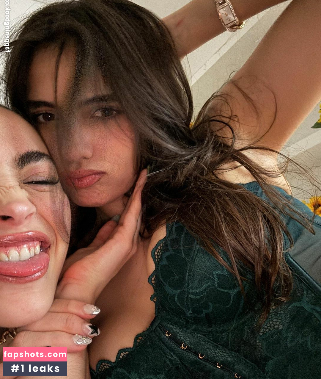 iaaras2 gallery photo #276