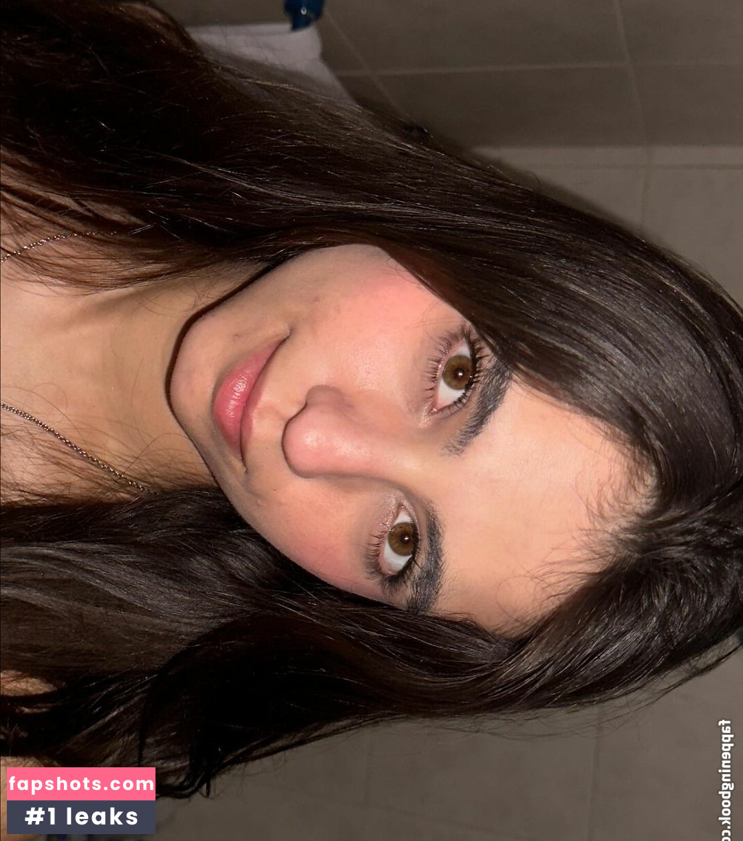 iaaras2 gallery photo #281