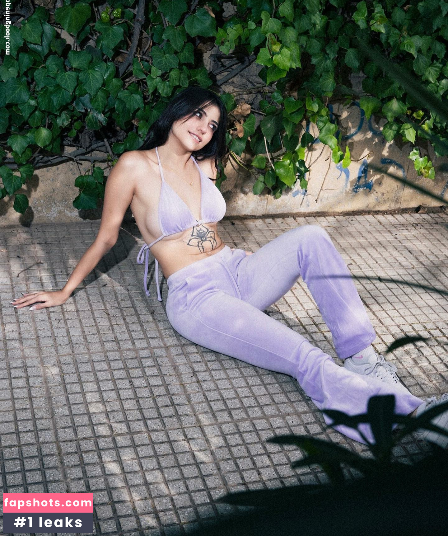 iaaras2 gallery photo #319