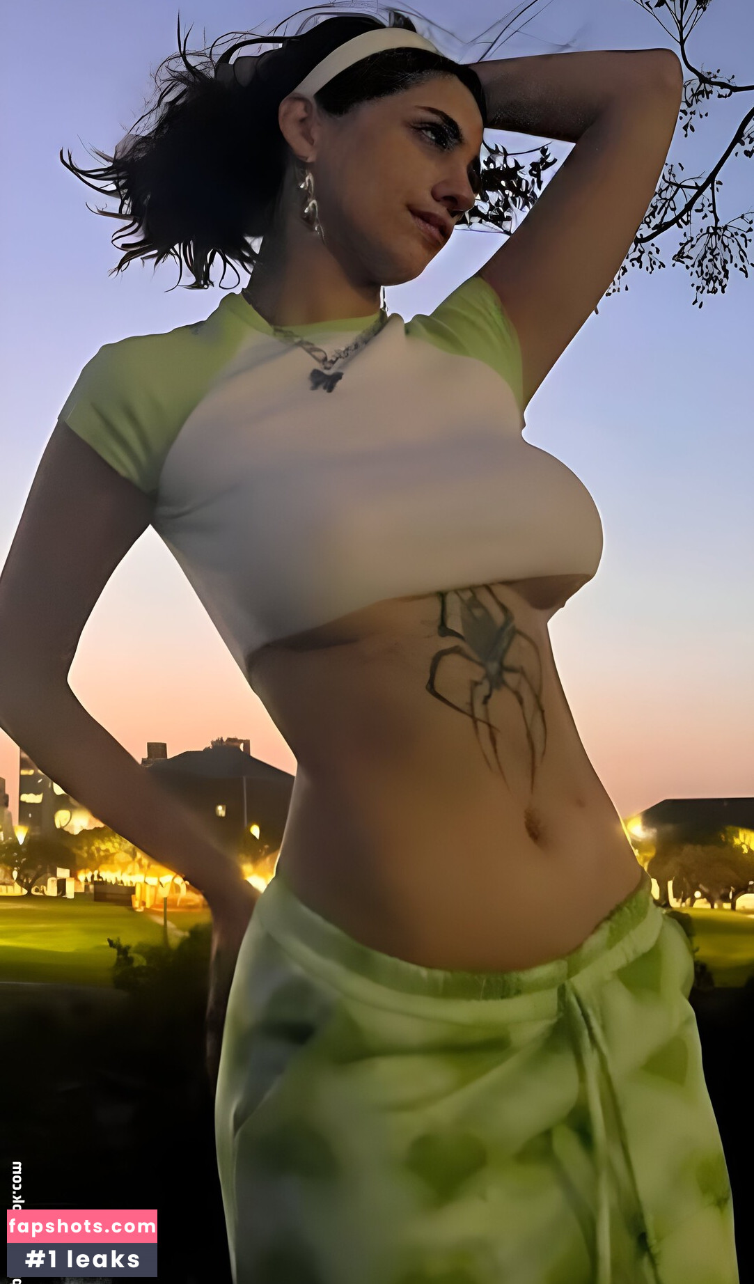 iaaras2 gallery photo #344