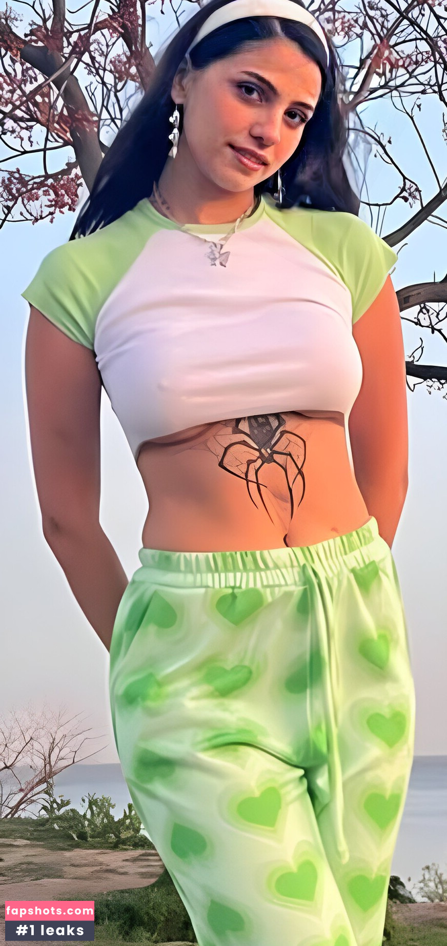 iaaras2 gallery photo #345