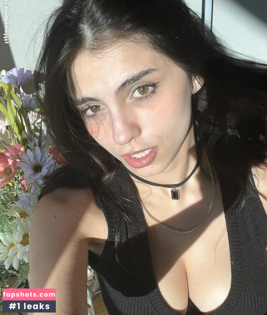 iaaras2 gallery photo #444