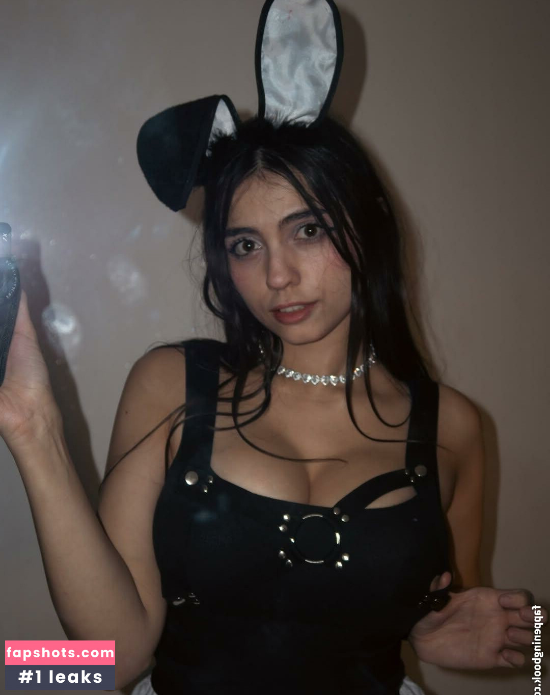 iaaras2 gallery photo #7