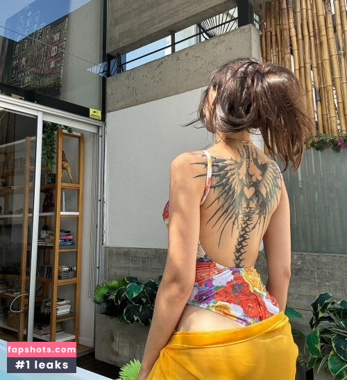 iaaras2 Nude Leaks OnlyFans Photos #489 - LeakJerk