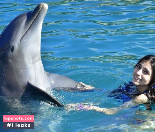 iaaras2 gallery photo #653