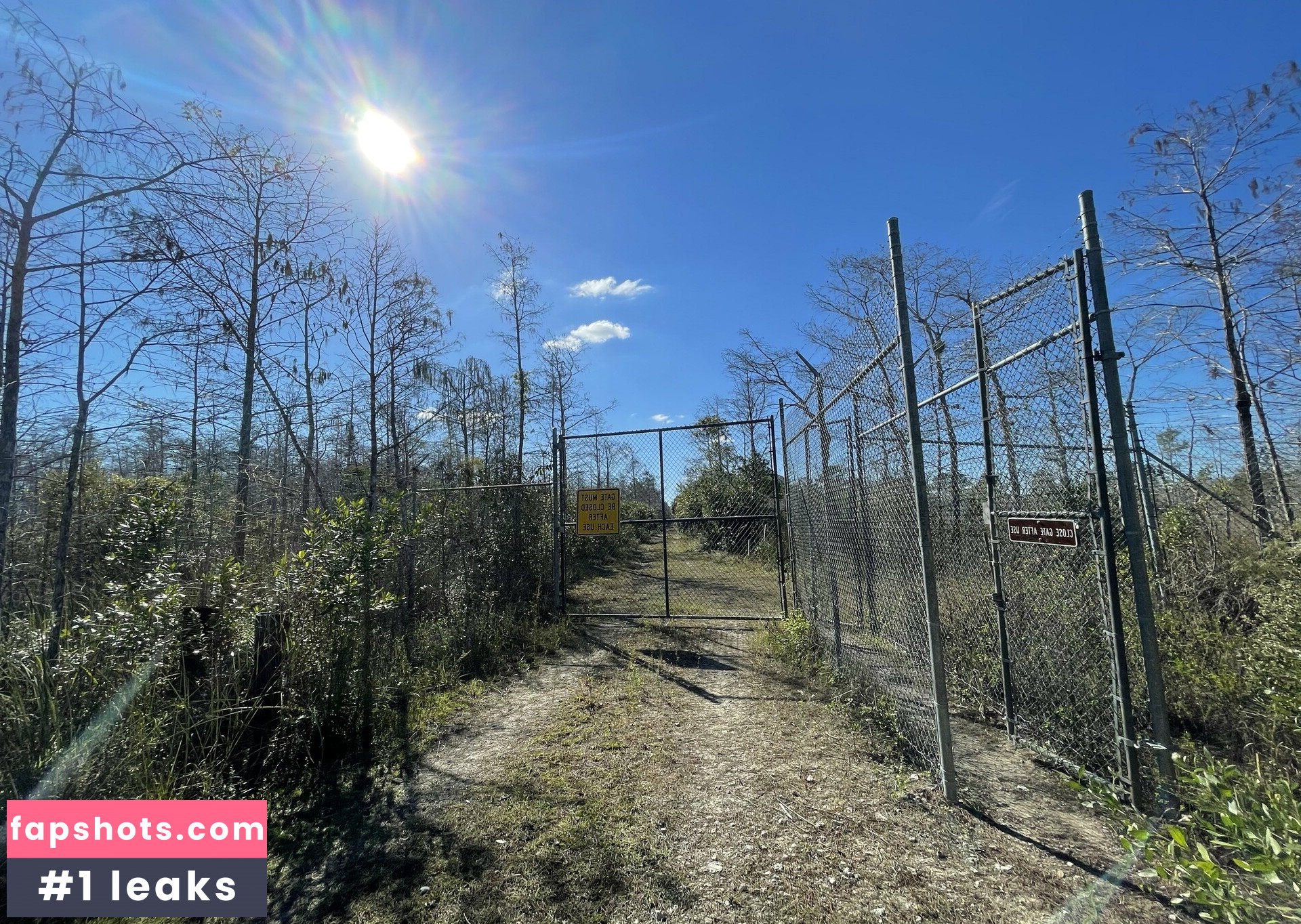 iambigduch gallery photo #55