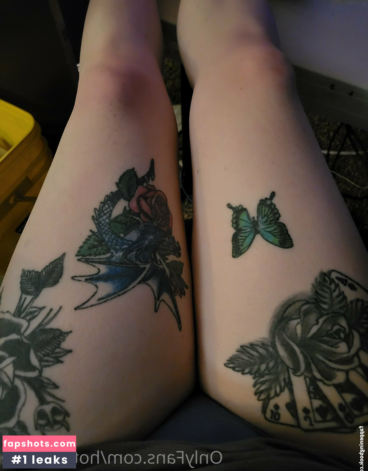 icefreak.16 gallery photo #39