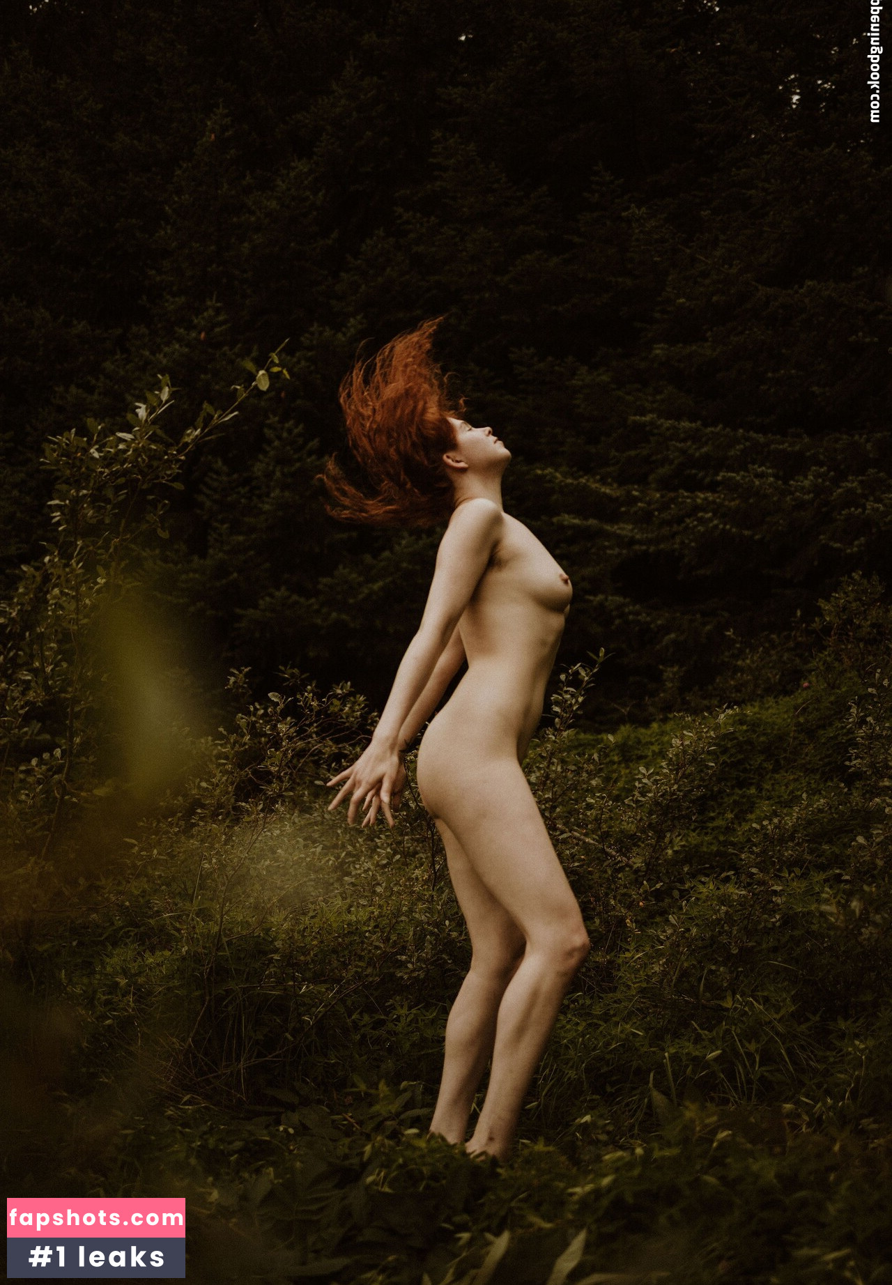 Icelandic Selkie Nahé úniky fotek pouze od fanoušků #53 - Fapshots