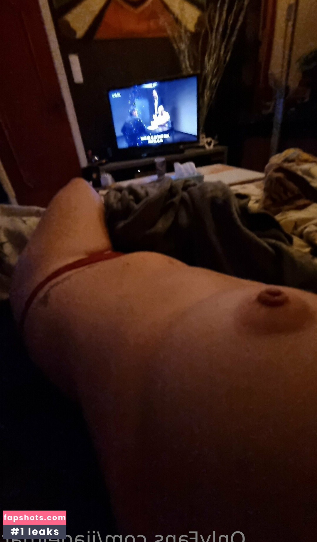 ijadelmar gallery photo #13