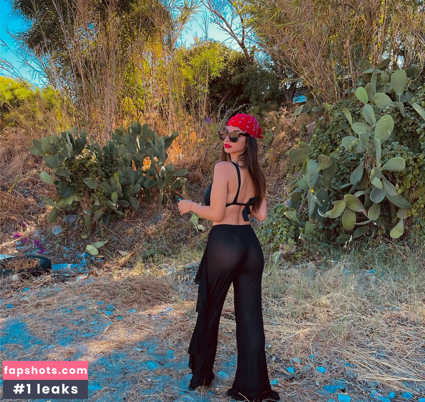 Ika gallery photo #31