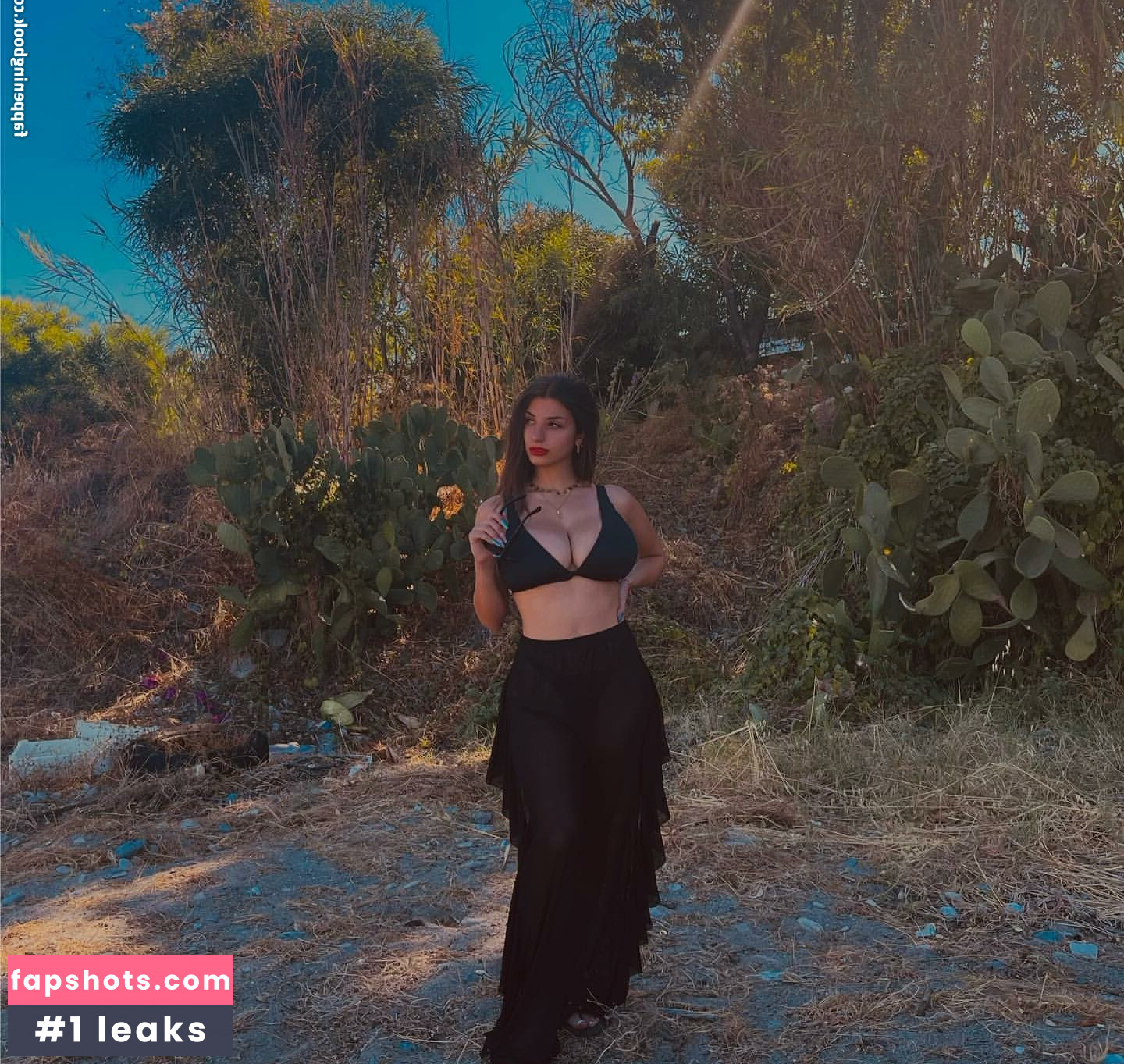 Ika gallery photo #8