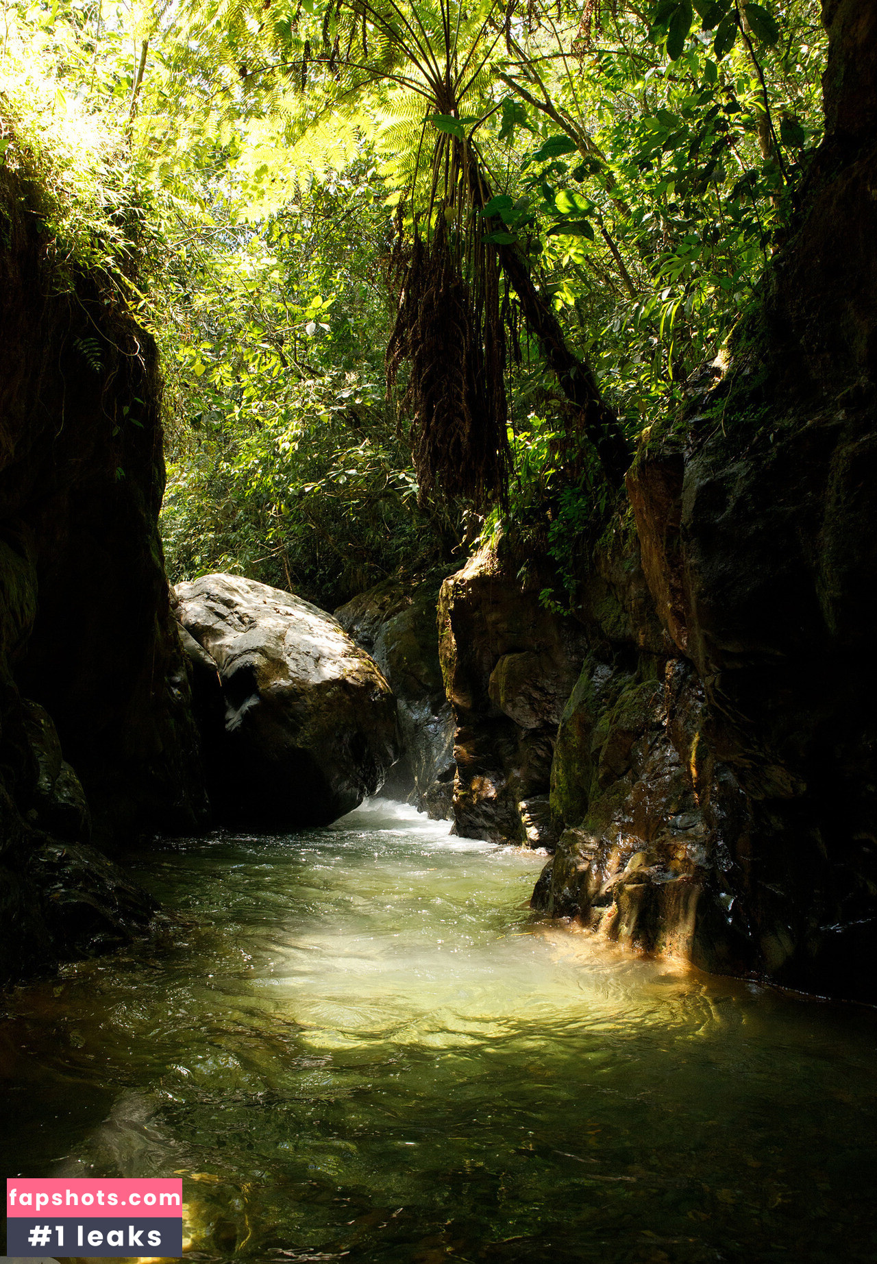 Ileana Burgos gallery photo #34