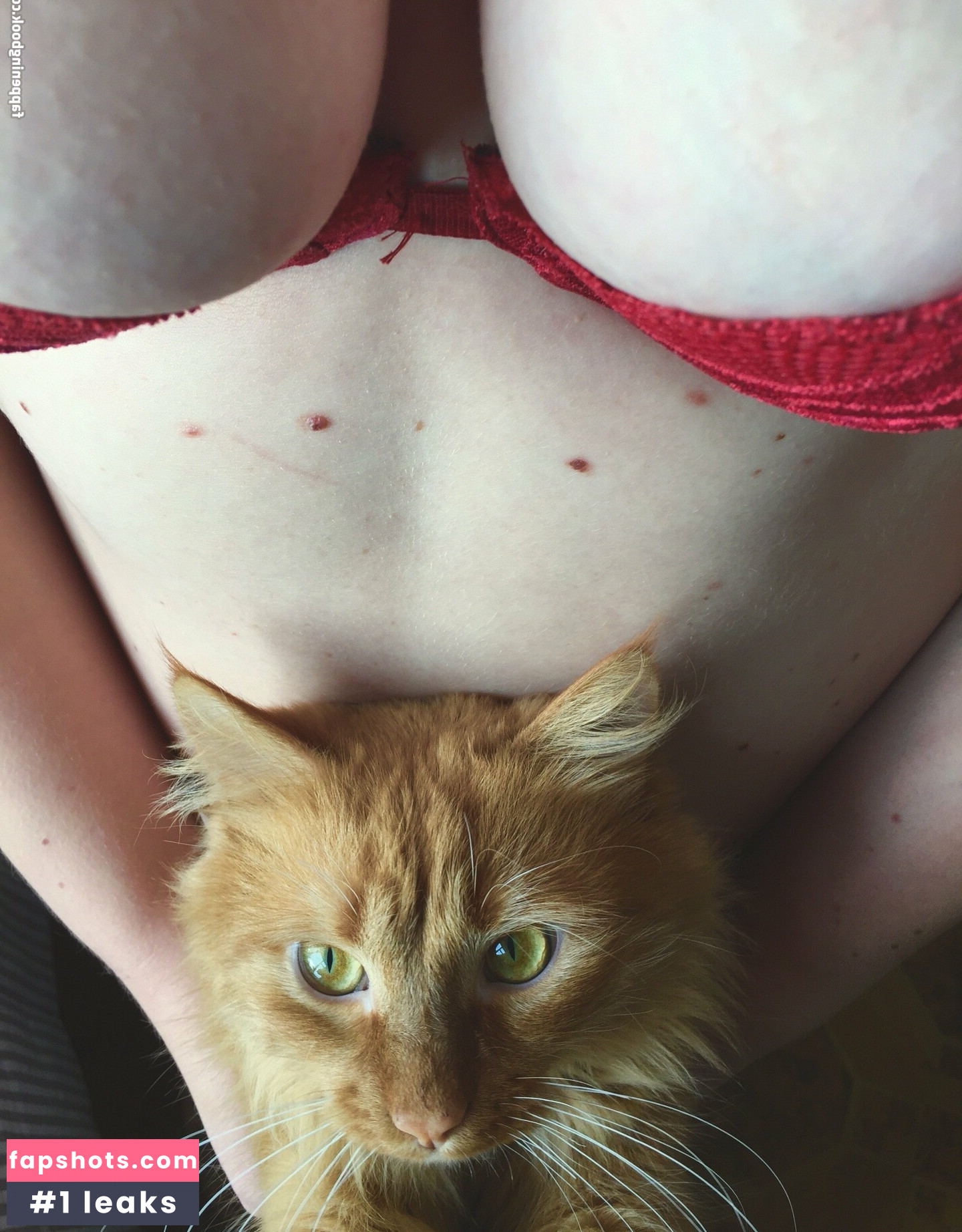 illinifellow Nahé úniky fotek pouze od fanoušků #9 - Fapshots