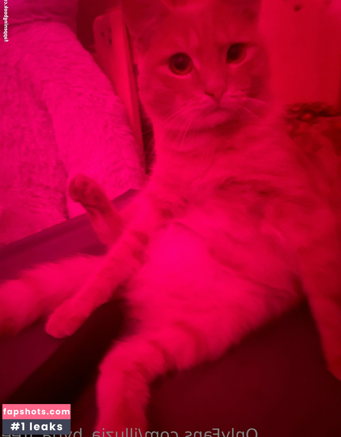 illuzia_bytia_free Nahé úniky fotek pouze od fanoušků #11 - Fapshots