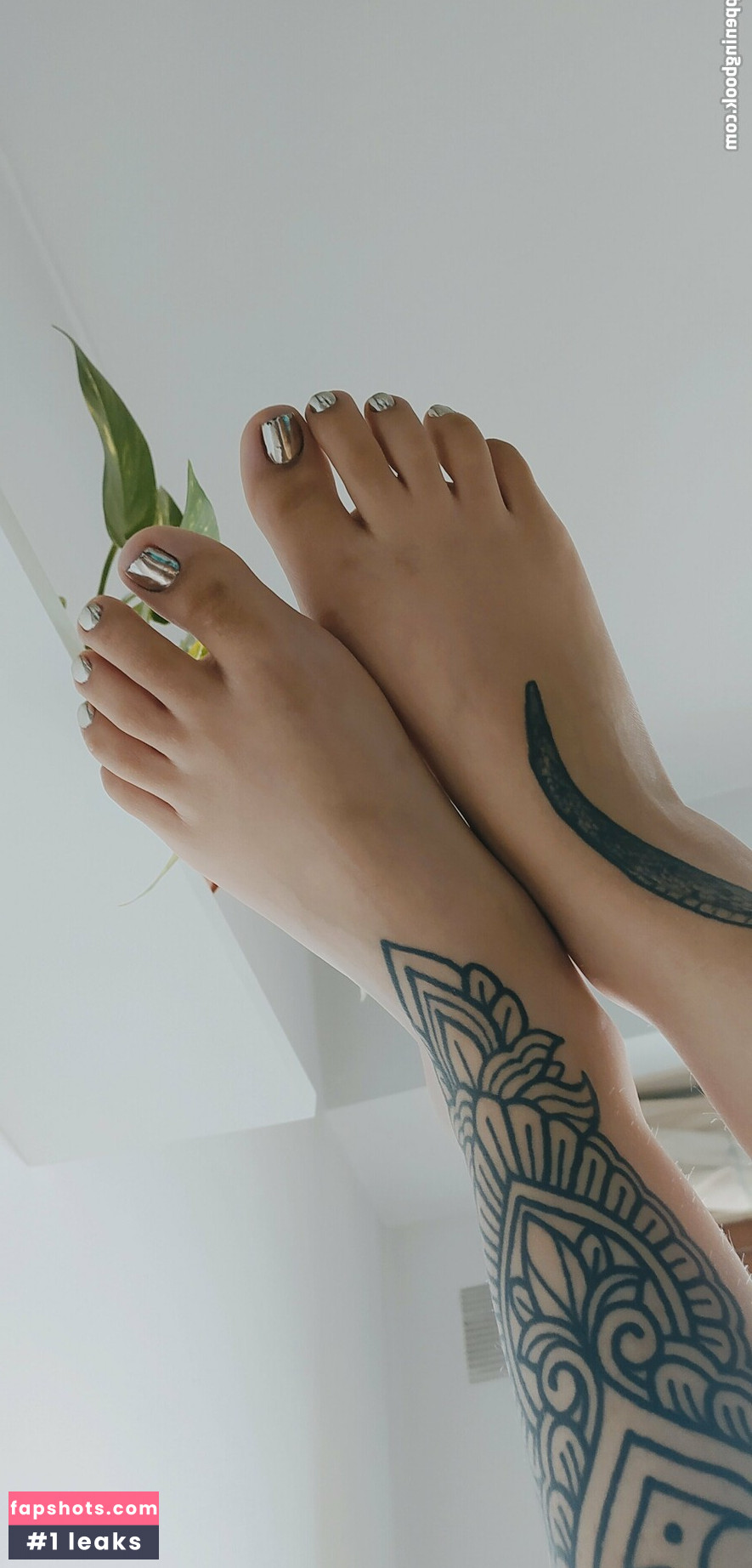 imbellatrixx gallery photo #16